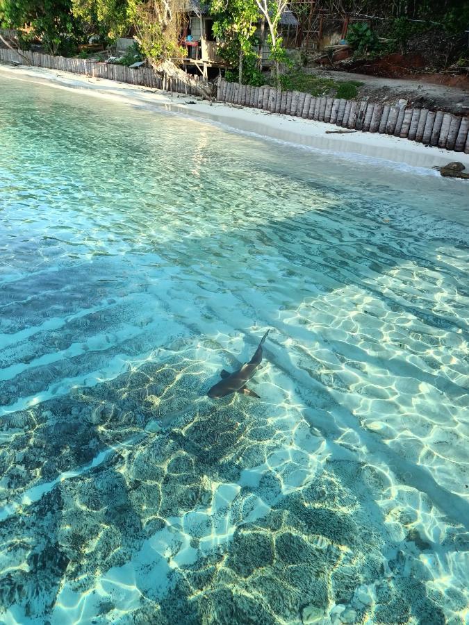 Warahnus Dive Homestay Kri エクステリア 写真
